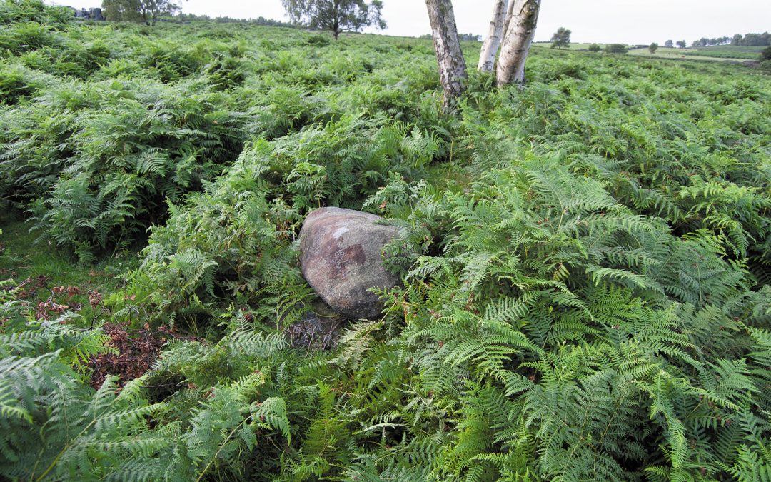 Gardom’s Edge Ringcairn
